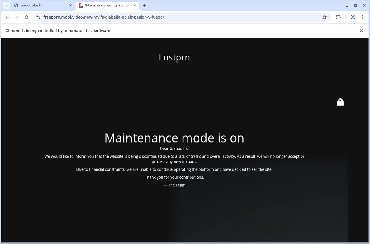 Lustbb Video Downloader browser extension screenshot 5